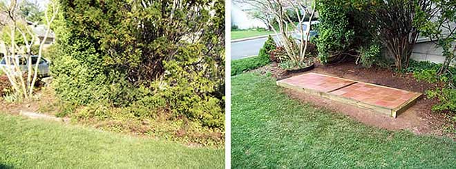 Before and after a yard cleanup