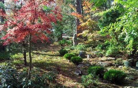 Oriental Garden at Montpelier