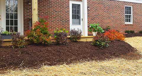 Newly installed plantings