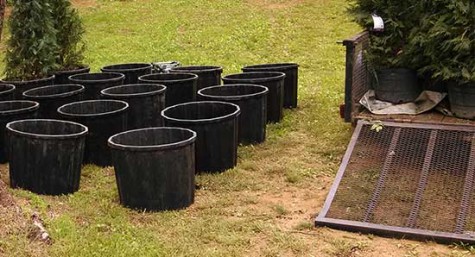 Pots and planters from Serenescapes' nursery